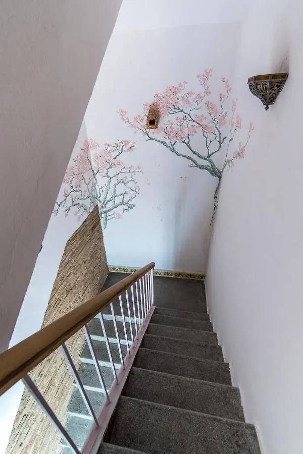 Patio Marquez Bed & Breakfast Cordoba