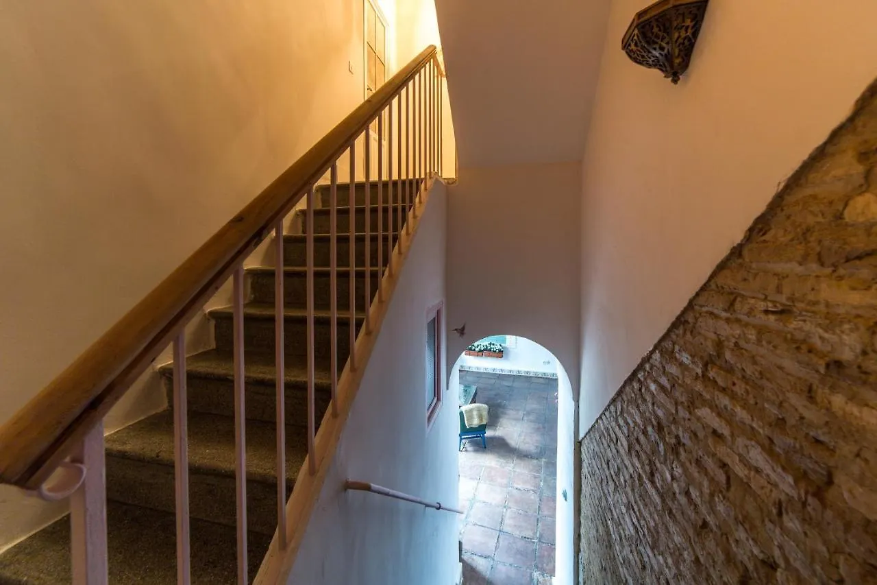 Patio Marquez Bed & Breakfast Cordoba Spain