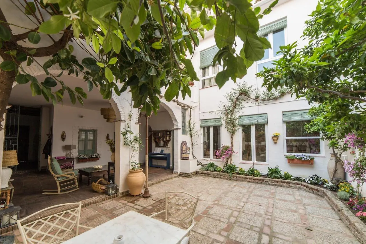 Patio Marquez Bed & Breakfast Cordoba Spain